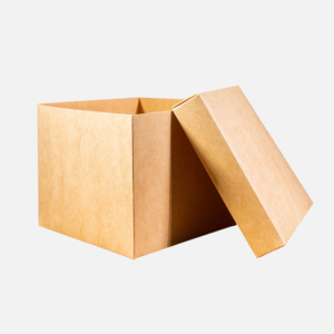 Eco Mailer Box